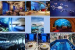 Unterwasser-Restaurant-in-Dubai.pps auf <a href=