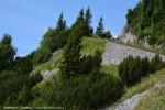 Puchberg-am-Schneeberg-AUSTRIA.pps auf <a href=