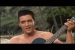 Elvis---No-More-in-Blue-Hawaii.mp4 auf www.funpot.net