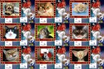 Katzengruesse.pps auf www.funpot.net