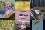 Bilder-Galerie-vom-26042017-2.pps auf www.funpot.net