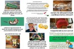 19.-Redensart-Da-wird-ja-der-Hund-in-der-Pfanne-verrückt.pps auf www.funpot.net