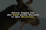 Mit-jeder-Schaufel-Erde.mp4 auf www.funpot.net