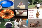 . auf www.funpot.net